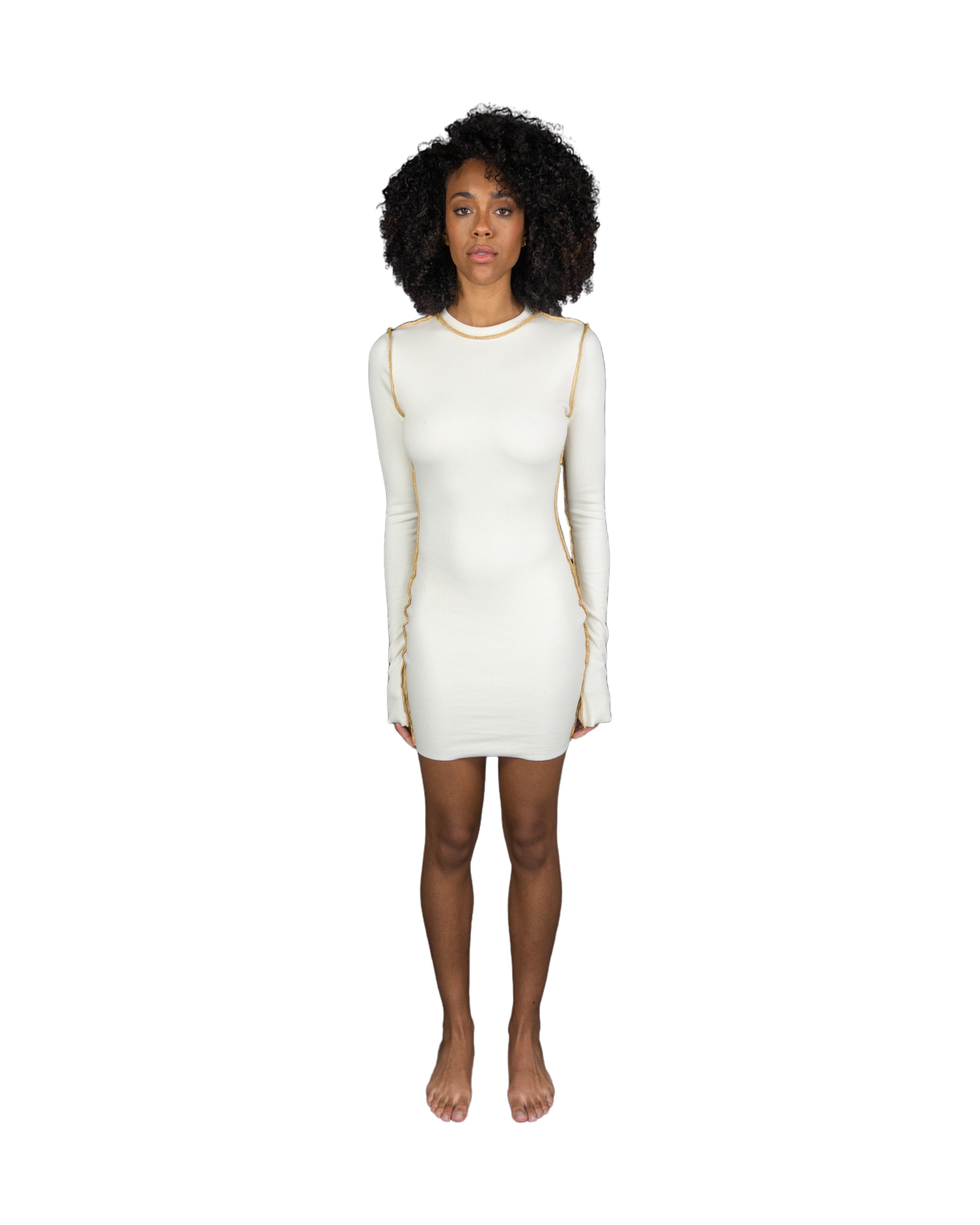 Classic Long Sleeve Dress